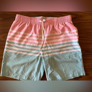 Chubbie Swim Trunks